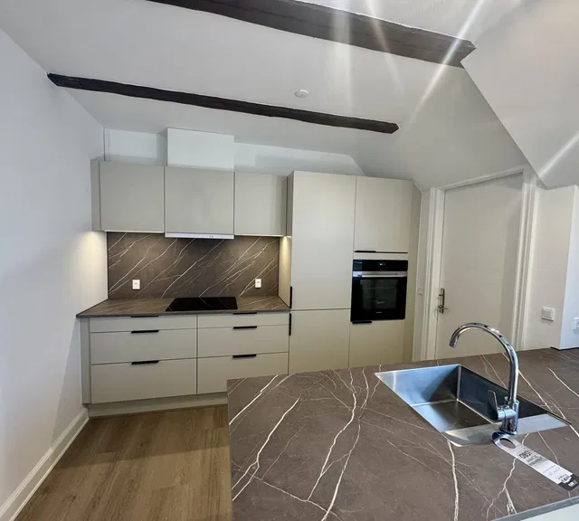 apartment Renoveret taglejlighed centralt ved Lommeparken