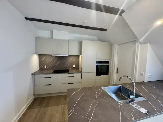 apartment Renoveret taglejlighed centralt ved Lommeparken