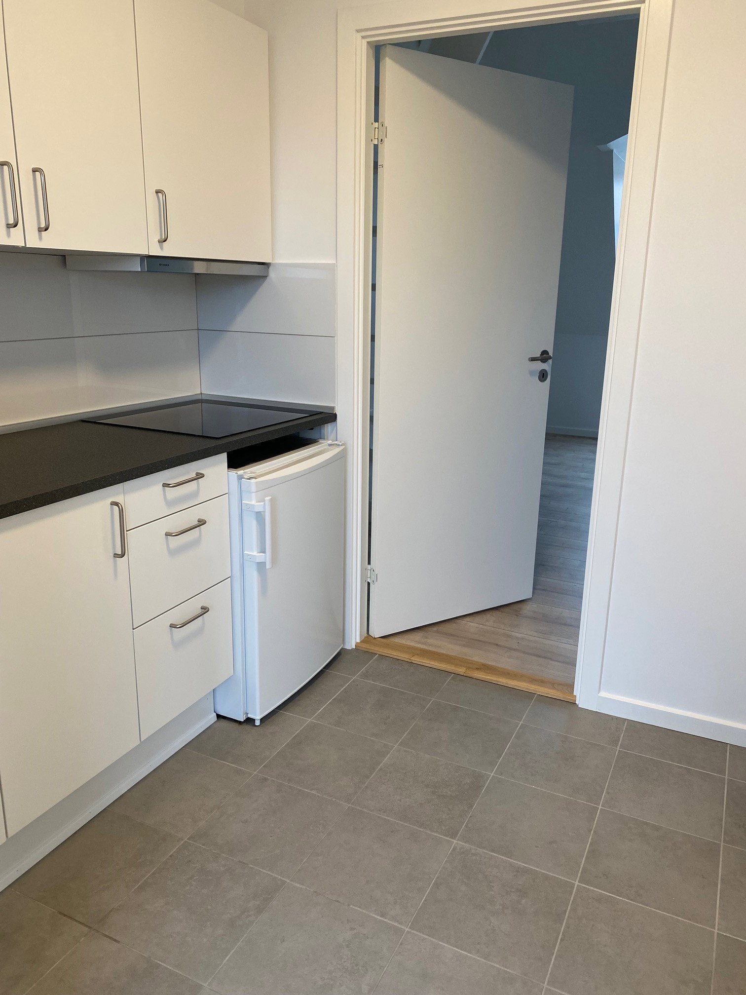 apartment Renovated 1-room apartment with mezzanine and lake view