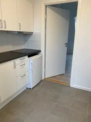 apartment Renovated 1-room apartment with mezzanine and lake view