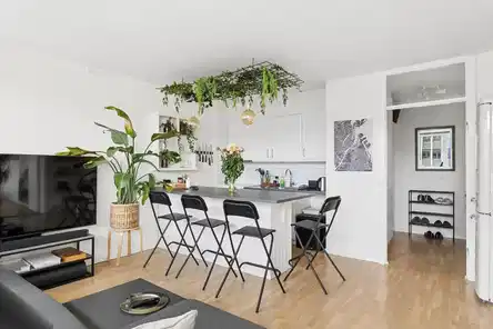 apartment Newly renovated bright apartment in the Inner City