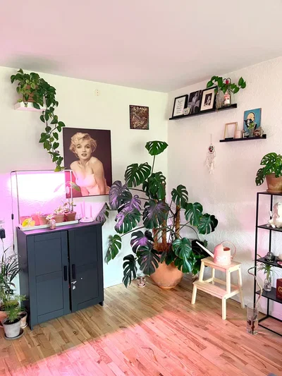 Large and Bright 2-Room Apartment in Vejgaard - Sofievej, Aalborg - 4