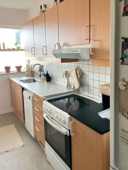 apartment Large and Bright 2-Room Apartment in Vejgaard