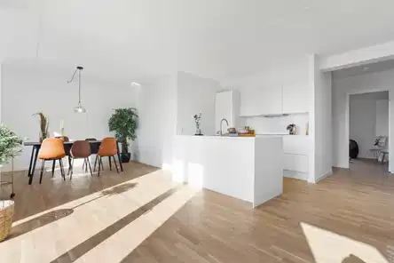 apartment Bright 4-room apartment with two terraces in Valby