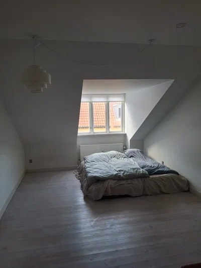 Cozy and spacious 2-room apartment on the 3rd floor - Storegade, Haderslev - 2