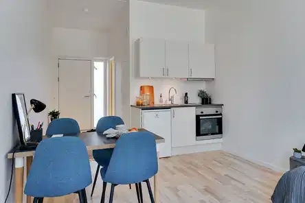 apartment Lys 1-værelses med nyt køkken og fællesfaciliteter