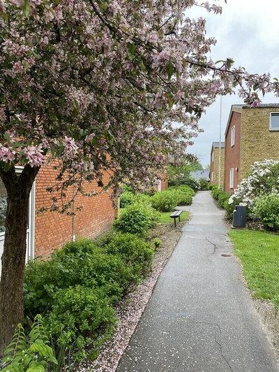 Tidsbegrænset lejemål - Villaparken, Skive - 1