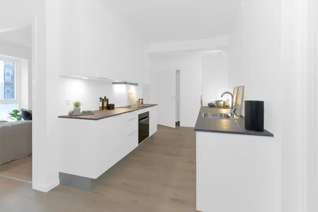 apartment MØLLESTENEN – FANTASTISK BELIGGENHED