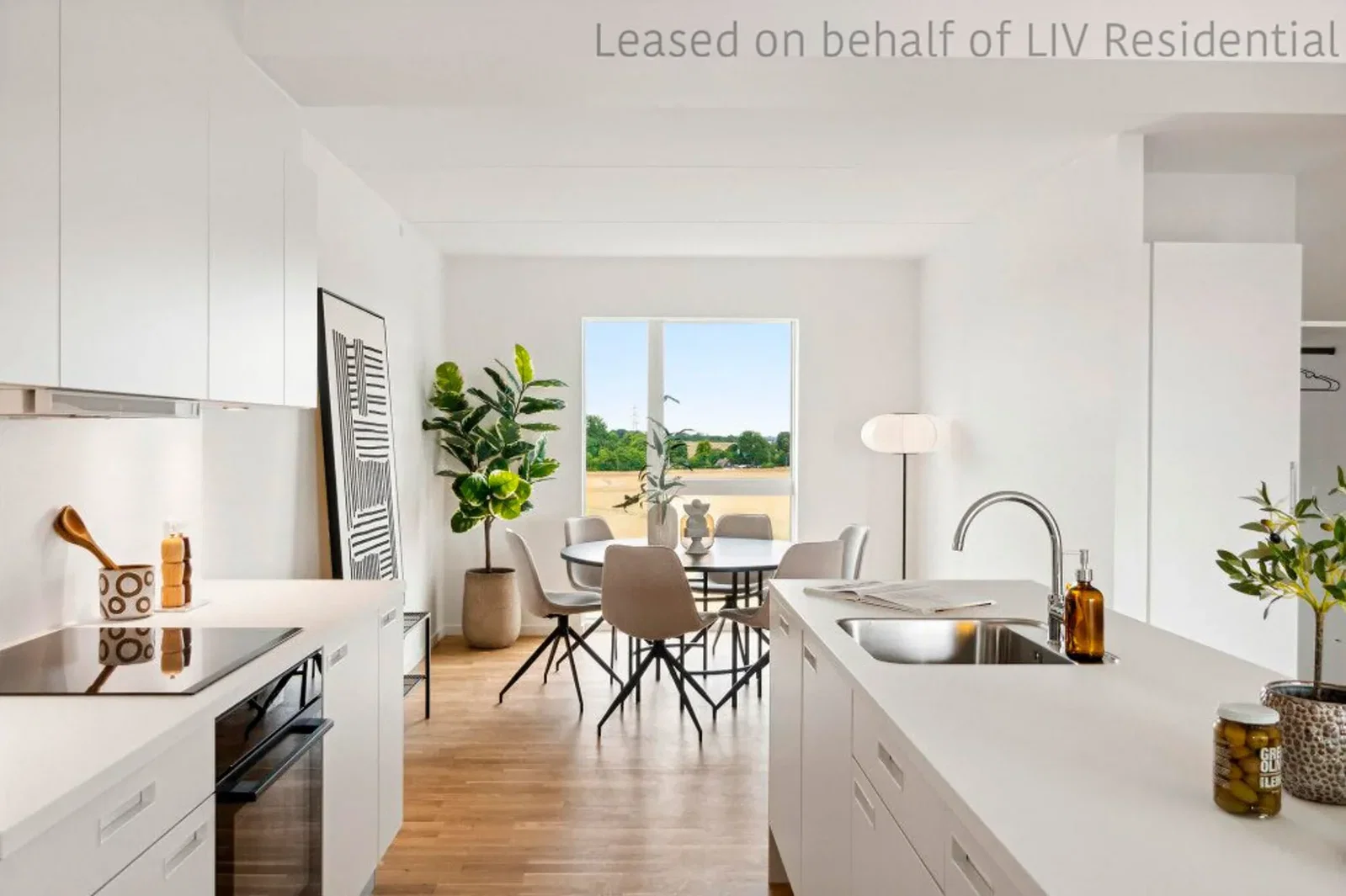 apartment Lys 4-værelses lejlighed i Hedehusene