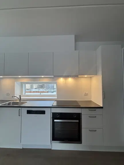 apartment 2-værelses lejlighed på 52 kvm!