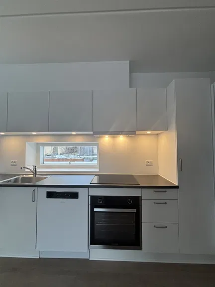 apartment 2-værelses lejlighed på 52 kvm!