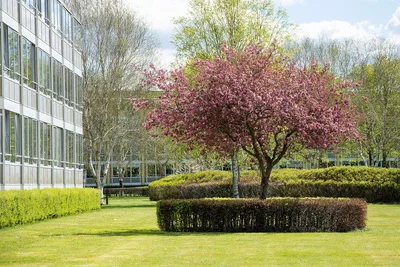 Lys 3-værelses lejlighed i Holmparken, 78 m² - Holmparken, Herning - 1