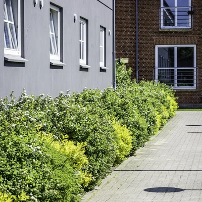 Lovely apartment - Hunsballevej, Holstebro - 2