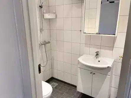 apartment Bright 2-room apartment near Vesterbro, Aalborg