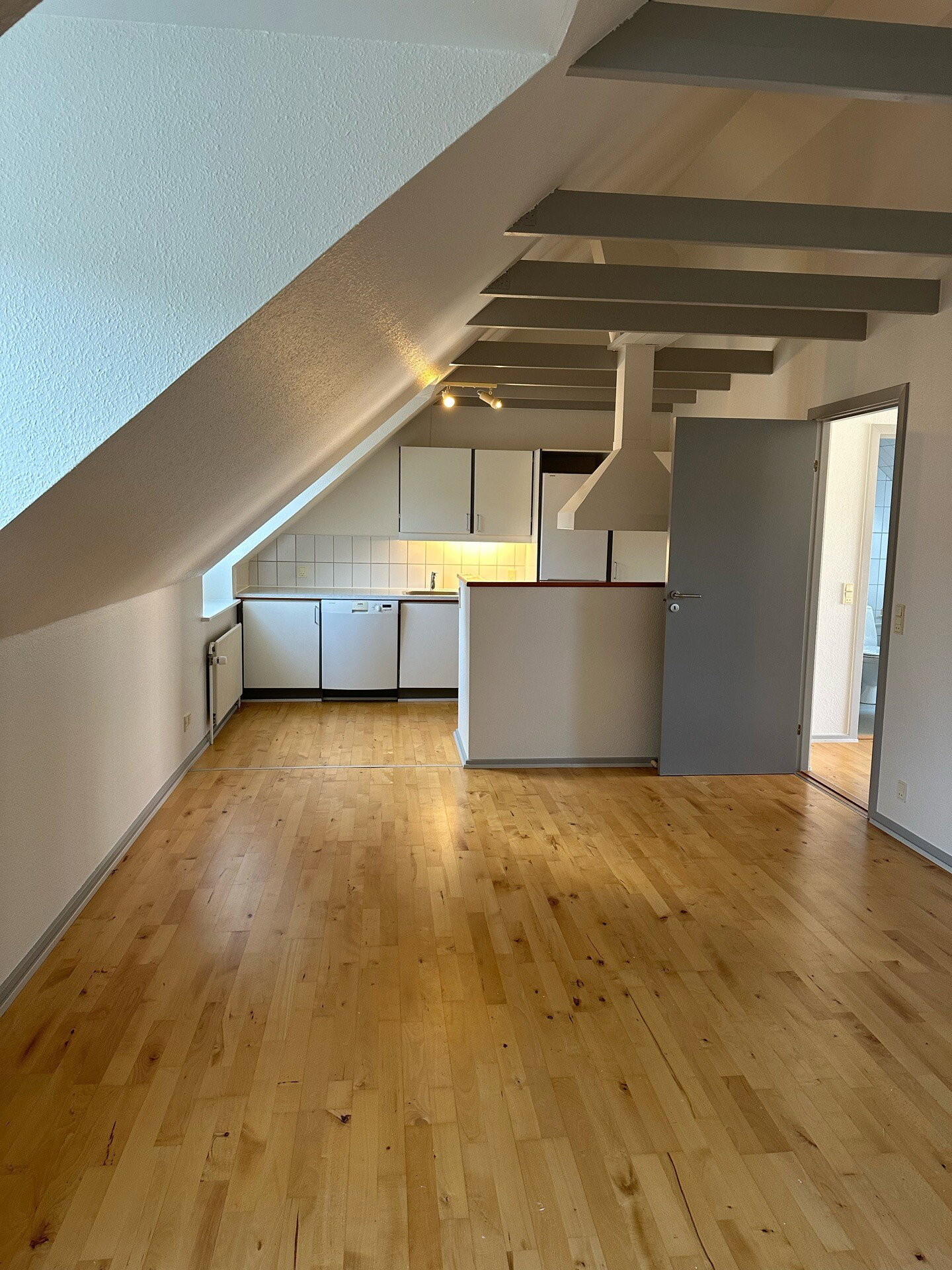 apartment Apartment description will follow shortly