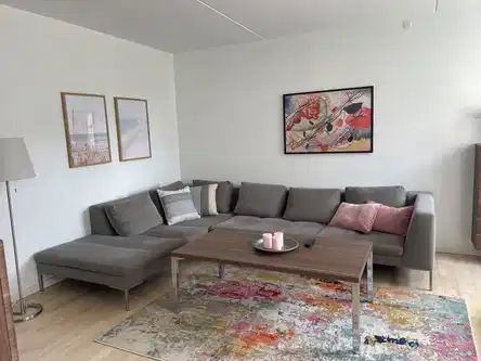 apartment Spacious and fully furnished 3-room apartment – ideal for expats