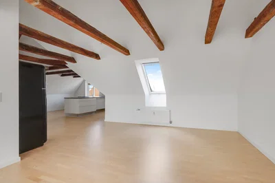 Lys 2-værelses taglejlighed på 110 m2 med stor tagterrasse, parkering og husdyr tilladt - Torvet, Horsens - 4