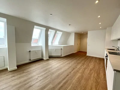 Bright and move-in ready 2-room apartment of 68 m2 with a modern kitchen and laundry stack – pets allowed - Borgergade, Horsens - 1