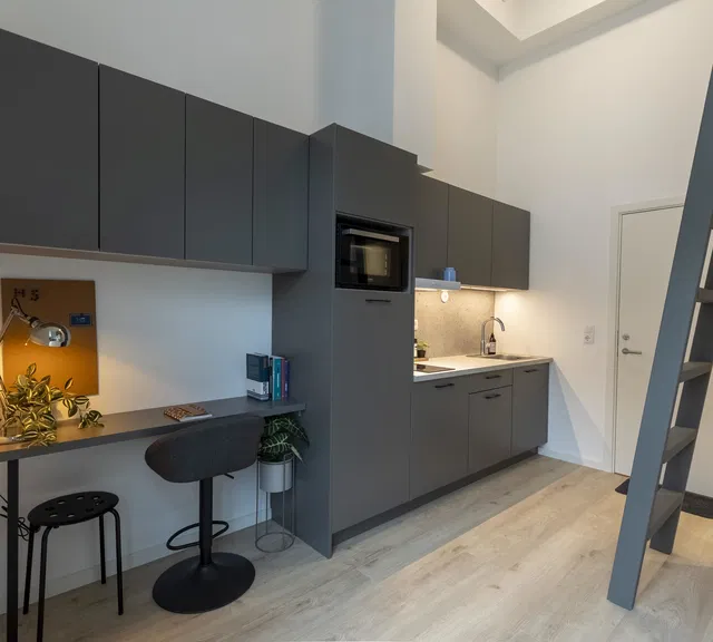 apartment Charmerende 1-værelses med hems og fællesfaciliteter