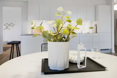 apartment Bright 2-room apartment in Brabrand near Åbyhøj