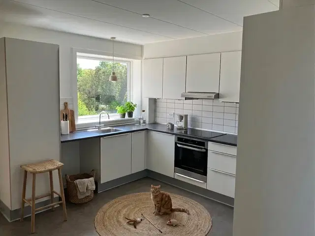 apartment Bright, spacious 5-room apartment with balcony in Aalborg – suitable for sharing and cat-friendly