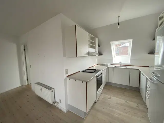 apartment Lys taglejlighed med sydvendt altan i Randers C
