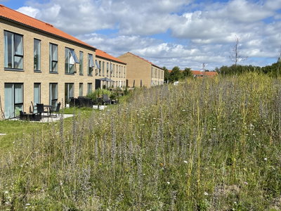 Spacious 2-bedroom apartment with a scenic view - Forsytiavej, Næstved - 3
