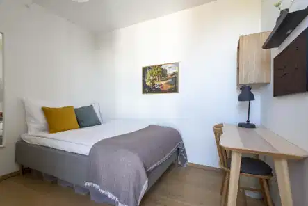 room Værelse i moderne duplex penthouse med tagterrasse