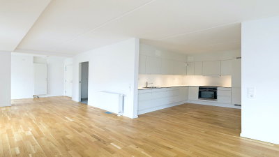 Newer apartment with balcony in Frederiksberg - Mariendalsvej, Frederiksberg - 1