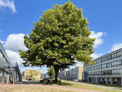 Apartment at a good price - Løget Høj, Vejle - 1