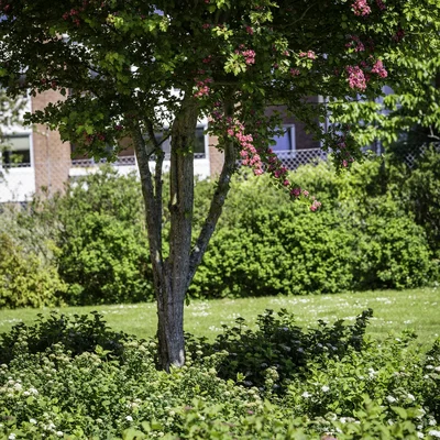 Lovely apartment - Hunsballevej, Holstebro - 2