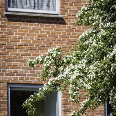 Lovely apartment - Hunsballevej, Holstebro - 3