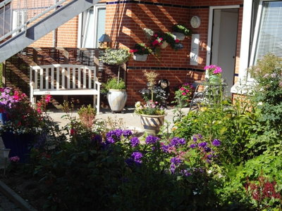Time-limited tenancy - Priess Vej, Roslev - 1