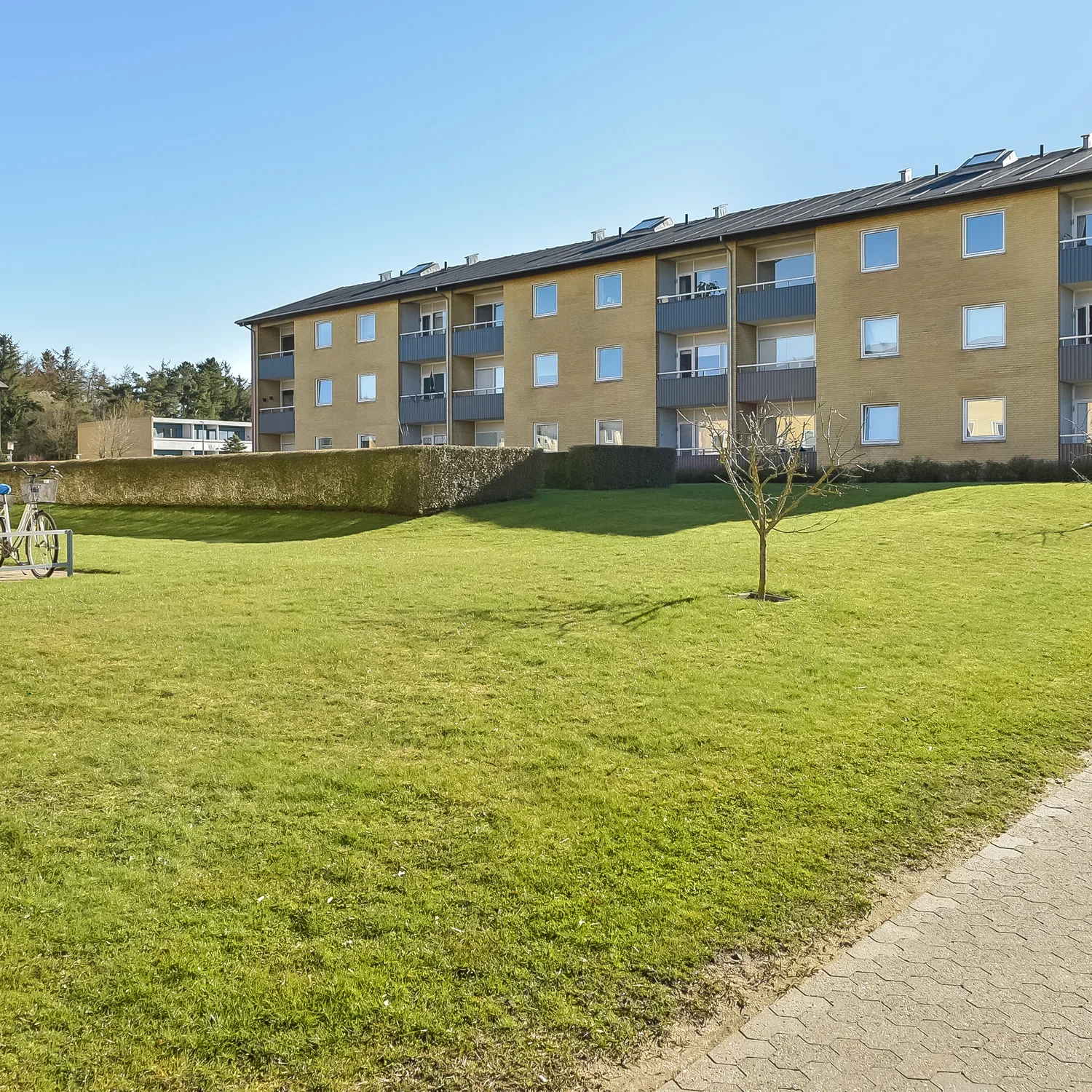 apartment Dejlig apartment