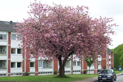 Affordable apartment - H.C. Andersens Vej, Viborg - 3