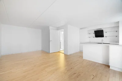 Stor 2-værelses lejlighed nær Odense centrum - Pantheonsgade, Odense C - 2