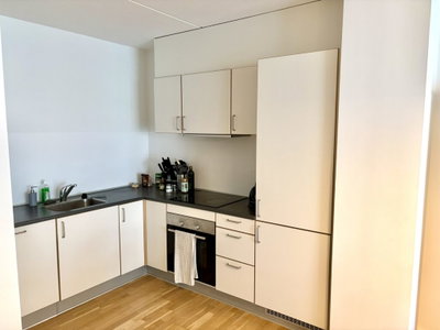 Bright 2-room apartment with large balcony and rooftop terrace - Godsbanen, Aalborg - 3
