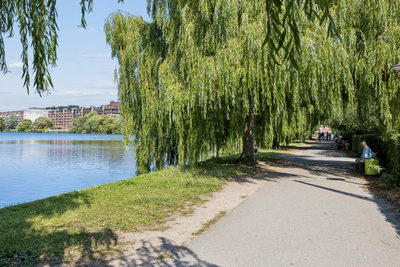 Exclusive and spacious apartment by the Lakes – 167 m² in Frederiksberg C - Vodroffsvej, Frederiksberg C - 2