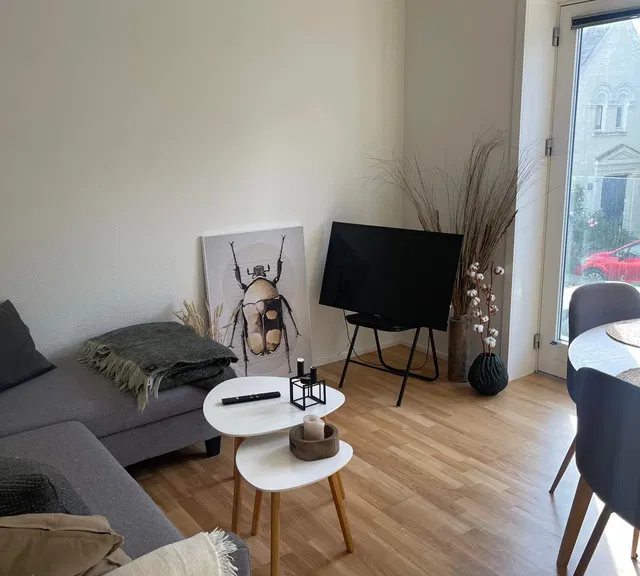 apartment Lys 2-værelses på 50 m2 med elevator – tæt på Kulturbroen og husdyr tilladt