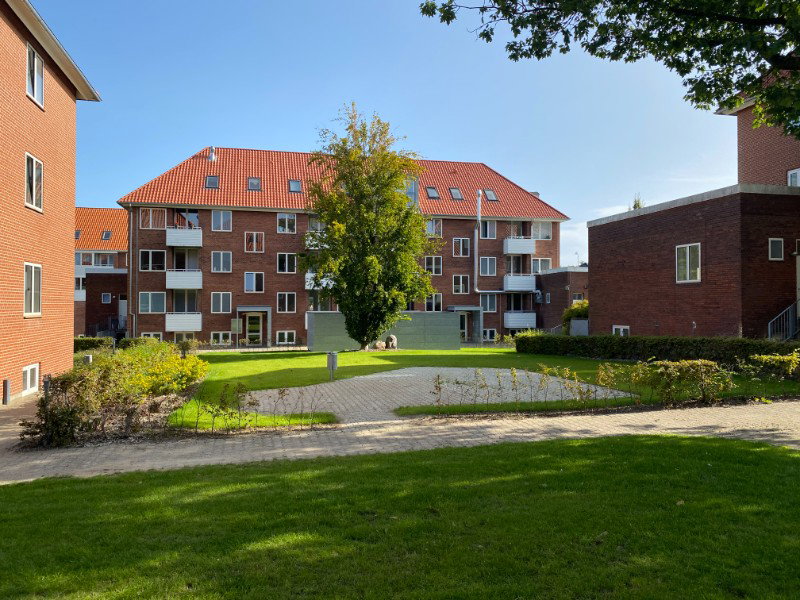 apartment Lejlighed til god pris