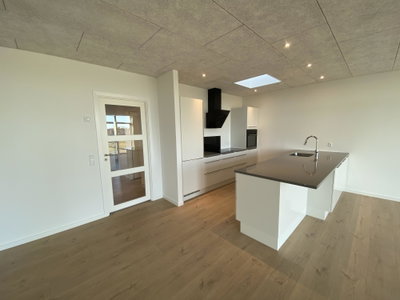 Modern Townhouse in Scenic Surroundings - Vibækvej, Viborg - 1