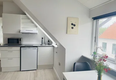 Charming attic apartment in Overgade - Overgade, Hjørring - 2