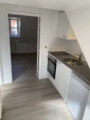 apartment Lys 1-værelses på 28 m2 med pænt køkken og parkering – husdyr tilladt
