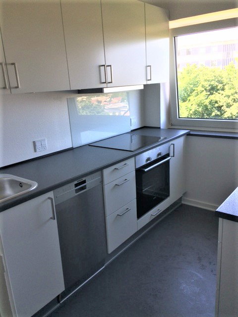 apartment Bright 2-room apartment with newer kitchen and bathroom