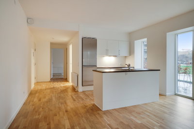 Spacious two-room apartment with a large east-facing terrace in Eternitten - Kildevældet, Aalborg - 2