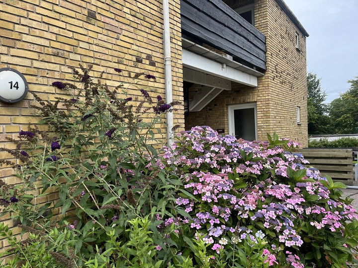 2-room apartment in Skive - Villaparken, Skive - 1