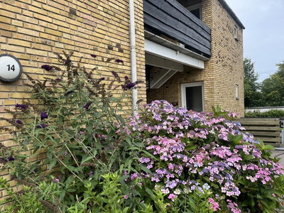 Time-limited tenancy - Villaparken, Skive - 1