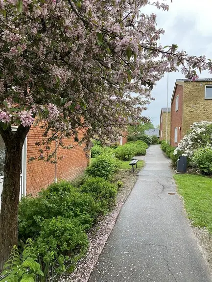 apartment Time-limited tenancy