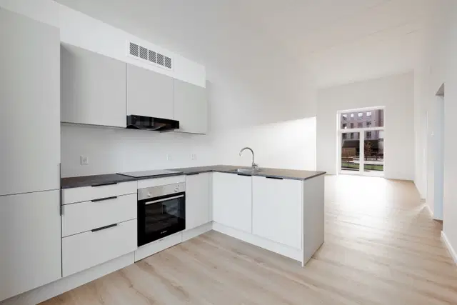 apartment 3-room ground-floor apartment with large terrace