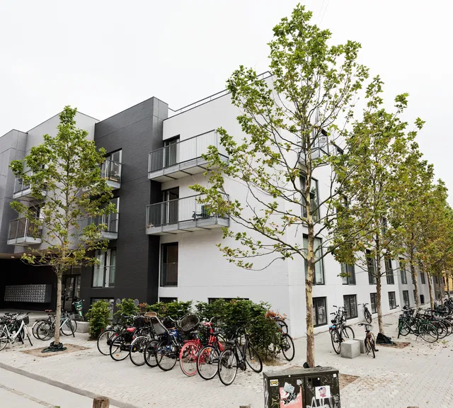 apartment Lys etværelses med fællesfaciliteter og tagterrasse